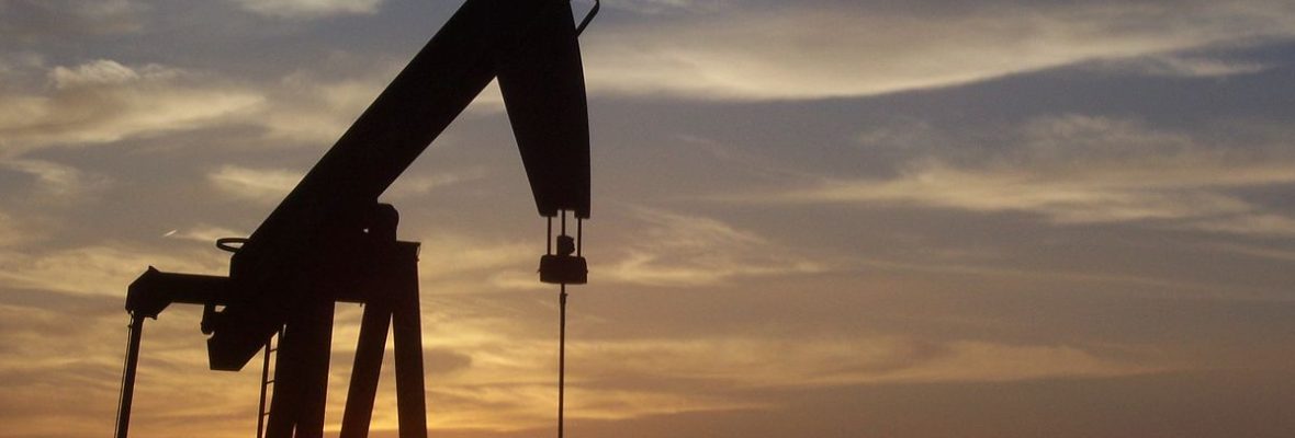 WhatsApp Image 2025-10-17 at 13.02.30