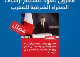 WhatsApp Image 2026-04-08 at 12.05.06