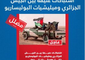 WhatsApp Image 2026-04-12 at 14.29.11